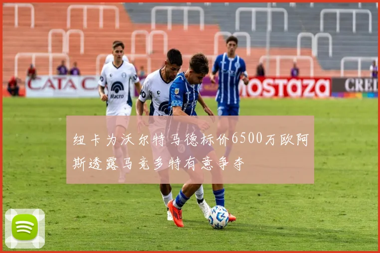 纽卡为沃尔特马德标价6500万欧阿斯透露马竞多特有意争夺